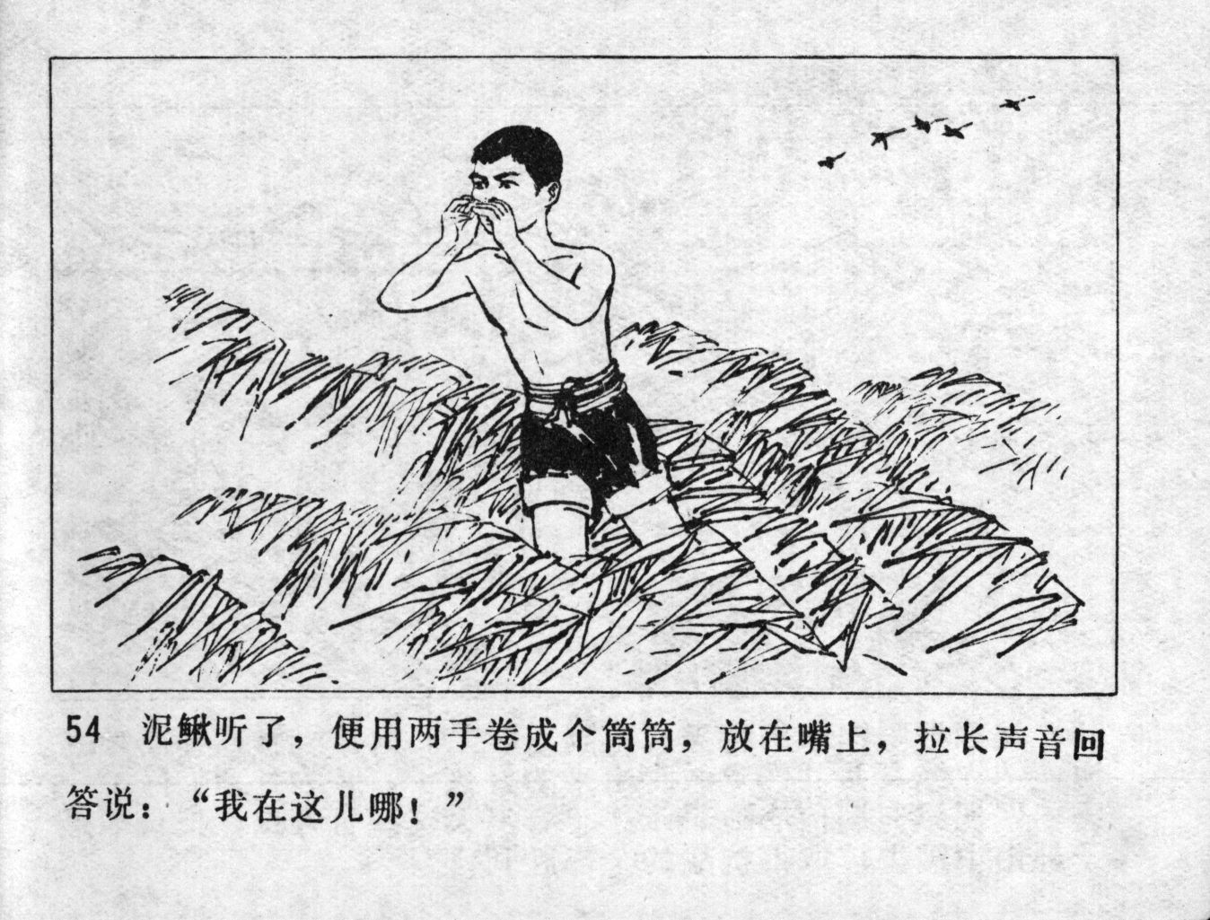 niqiu page