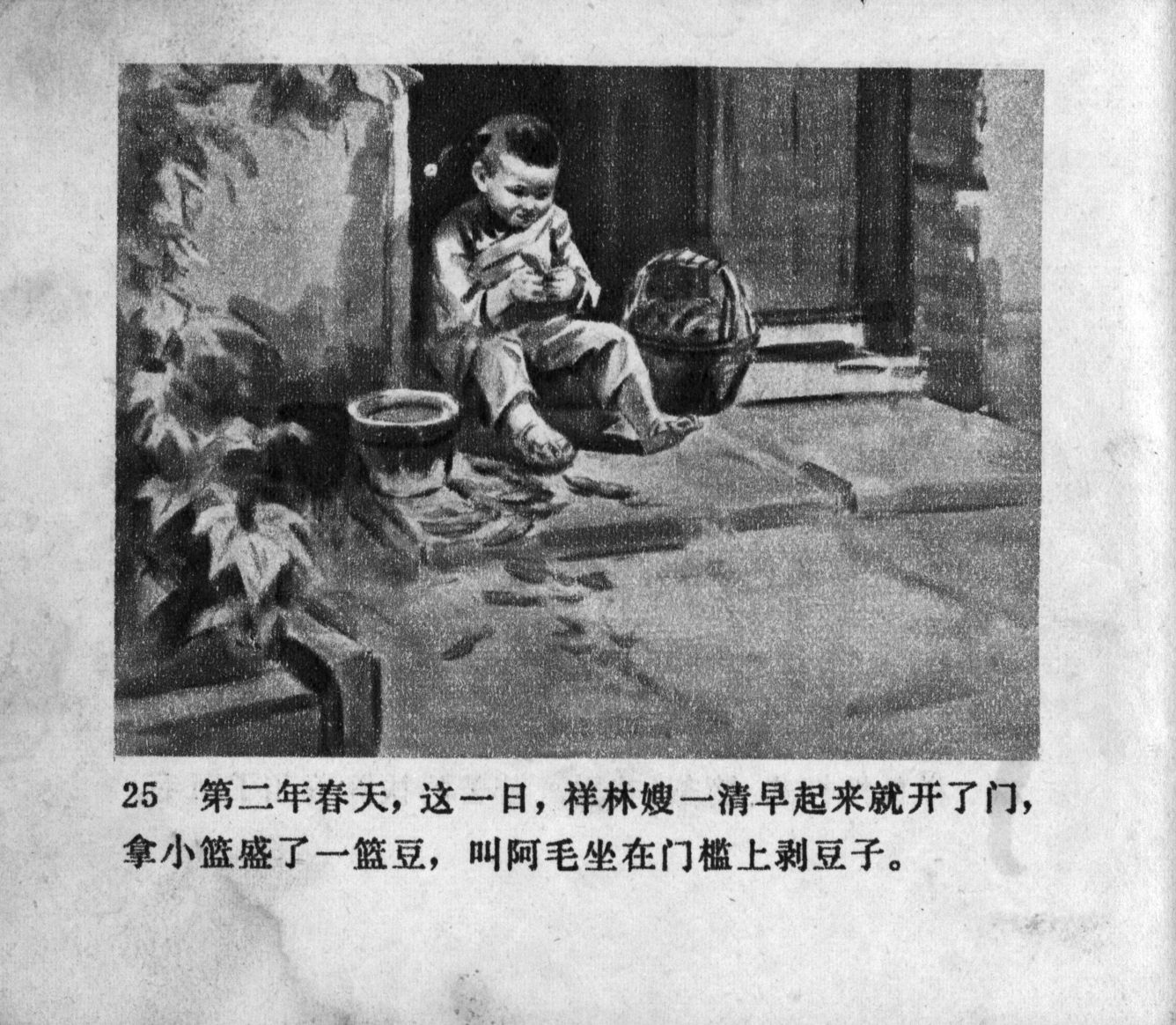 zhufu panel