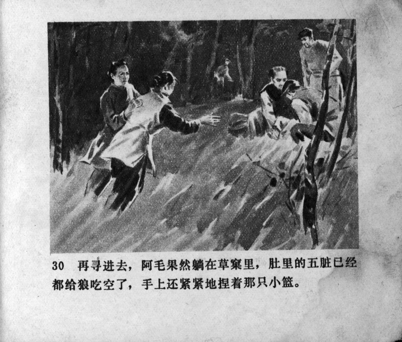 zhufu panel