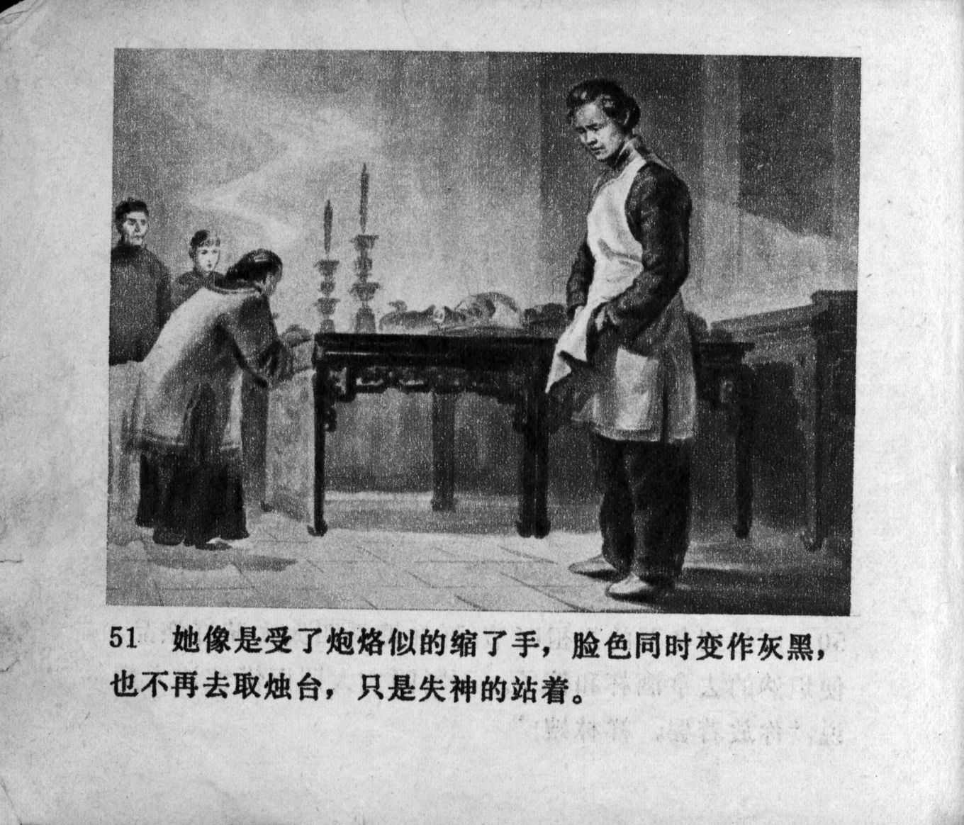 zhufu panel