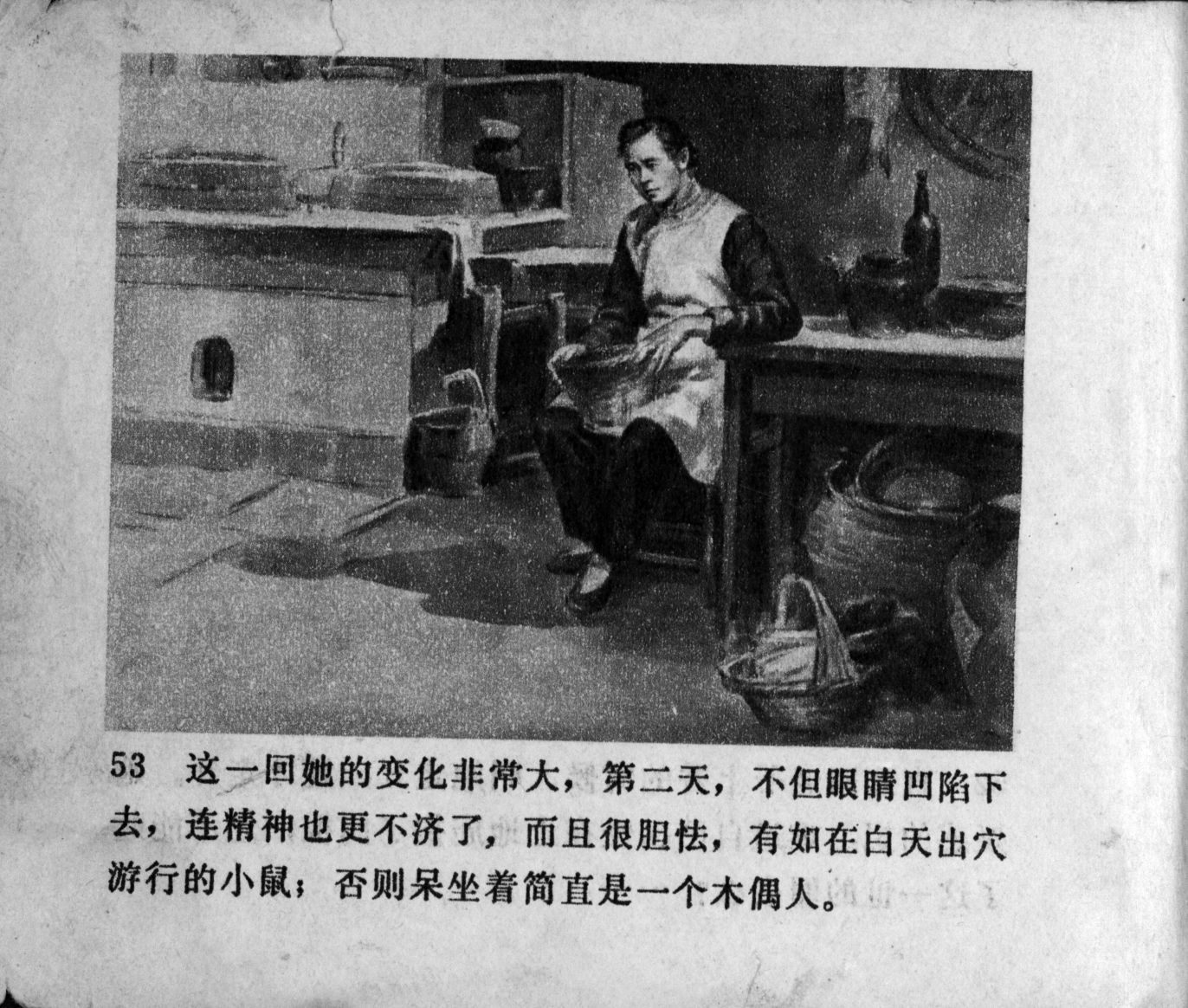 zhufu panel