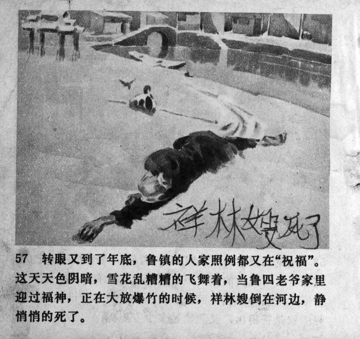 zhufu panel